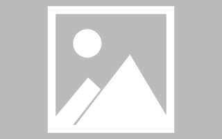 镇江网页优化和设计人才（网站优化职位）